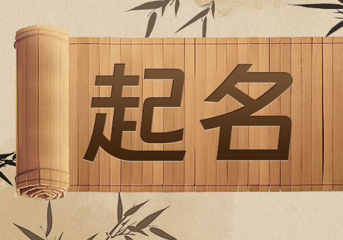  好听的电商公司起名字大全,大气电商公司名字大全参考